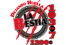 Logo de La Bestia Grupera 540 AM